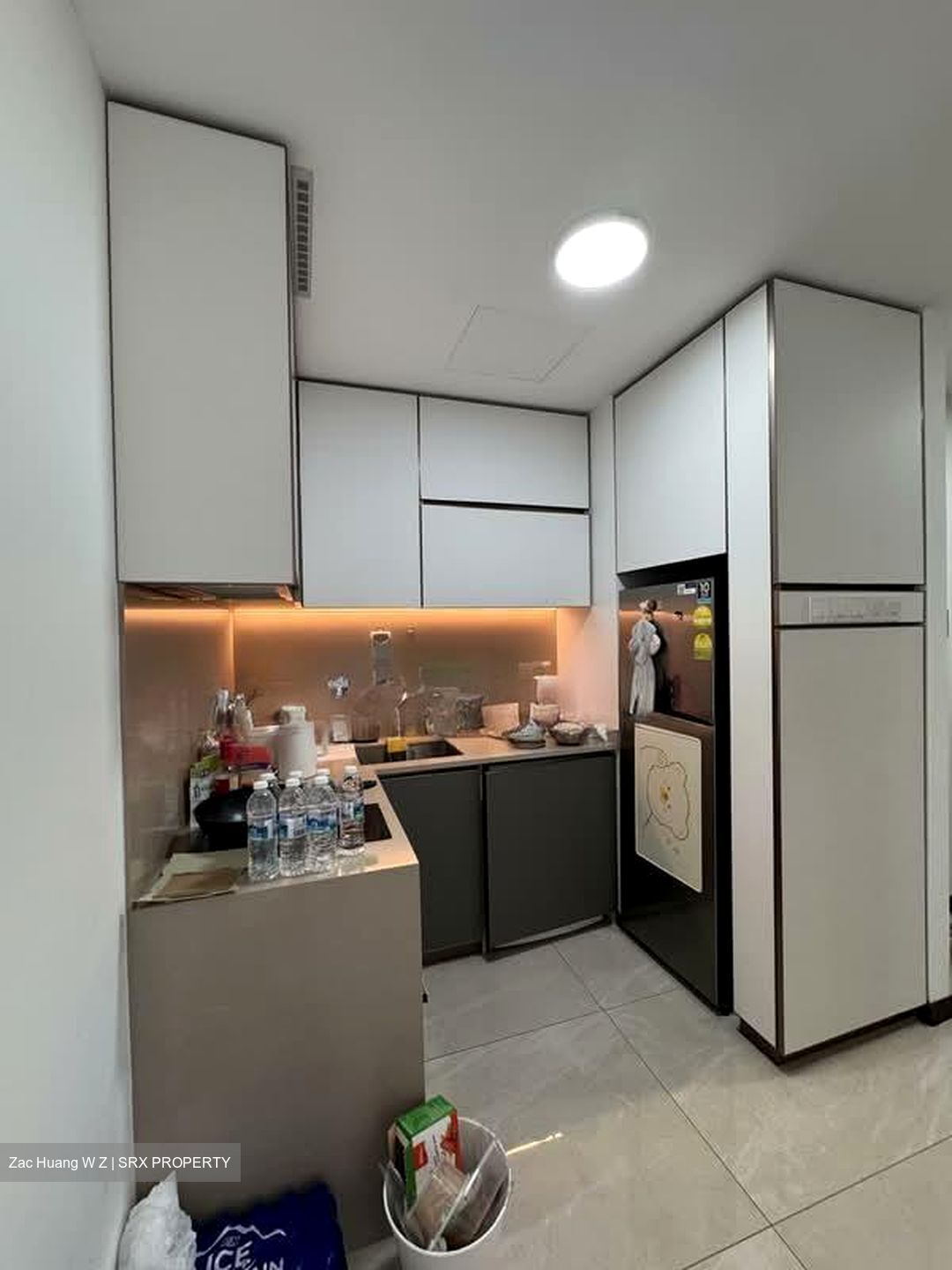 Normanton Park (D5), Apartment #557838241